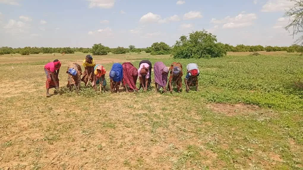 Distribution de vivres — Développement socio-économique