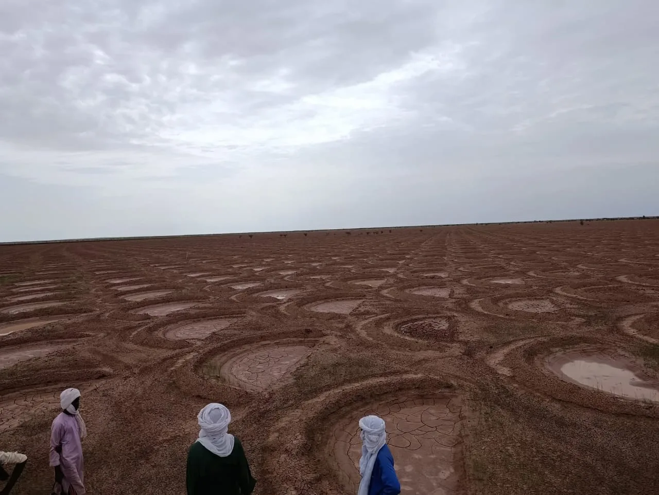 Projet PGIP — Restauration des paysages