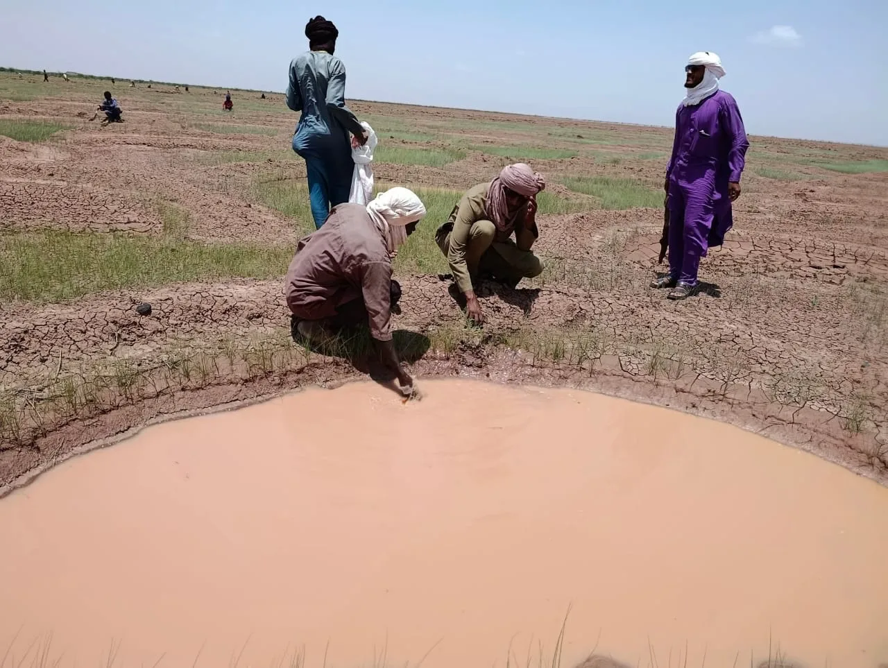 Distribution de vivres — Développement socio-économique
